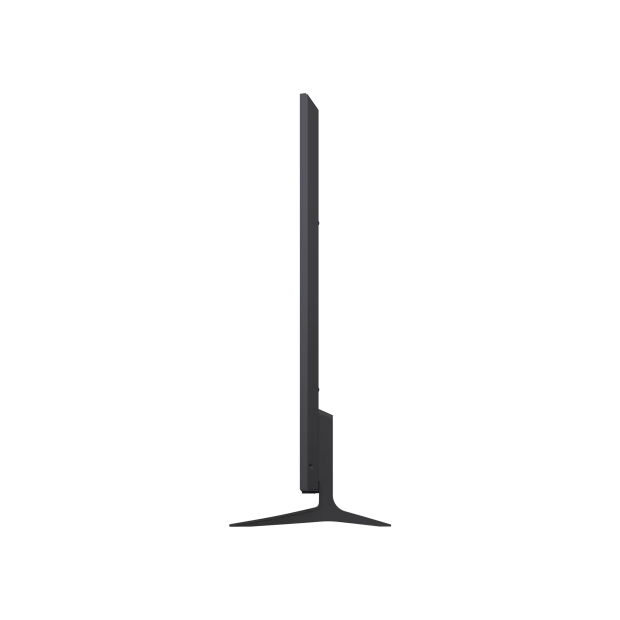 LG Micro RGB evo AI (스탠드형) 189cm